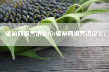 旅游网络营销定位(旅游网络营销定义)