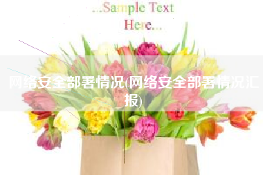 网络安全部署情况(网络安全部署情况汇报)