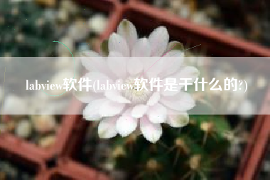 labview软件(labview软件是干什么的?)