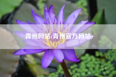 青州网站(青州官方网站)