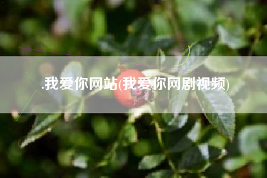 .我爱你网站(我爱你网剧视频)