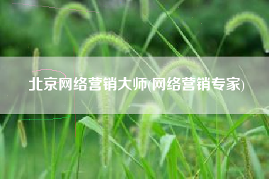 北京网络营销大师(网络营销专家)