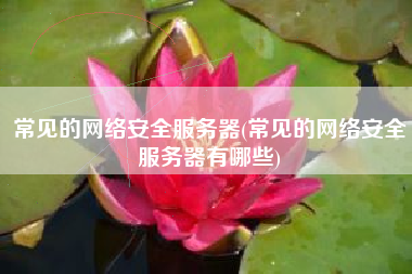 常见的网络安全服务器(常见的网络安全服务器有哪些)