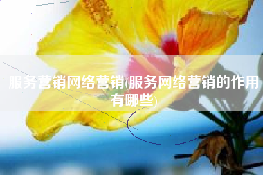 服务营销网络营销(服务网络营销的作用有哪些)