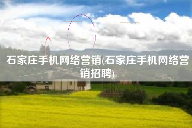 石家庄手机网络营销(石家庄手机网络营销招聘)