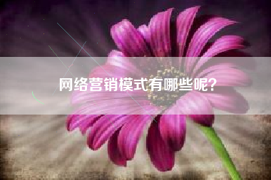 网络营销模式有哪些呢？