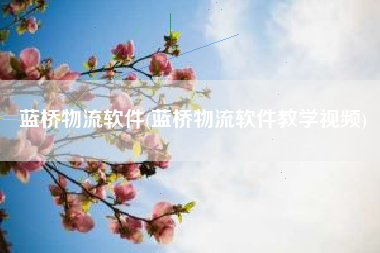 蓝桥物流软件(蓝桥物流软件教学视频)