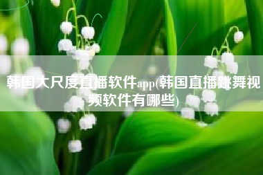 韩国大尺度直播软件app(韩国直播跳舞视频软件有哪些)