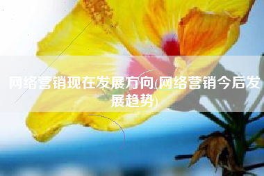 网络营销现在发展方向(网络营销今后发展趋势)