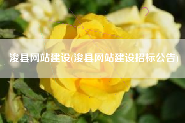浚县网站建设(浚县网站建设招标公告)