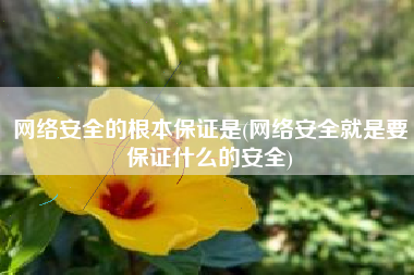 网络安全的根本保证是(网络安全就是要保证什么的安全)