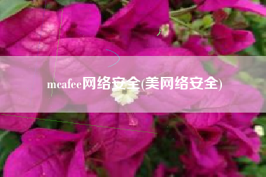 mcafee网络安全(美网络安全)