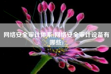 网络安全审计体系(网络安全审计设备有哪些)