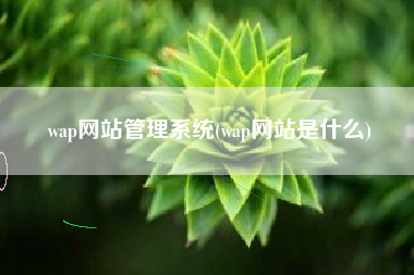 wap网站管理系统(wap网站是什么)