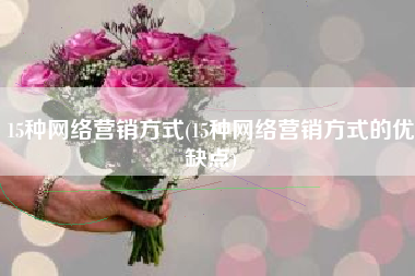 15种网络营销方式(15种网络营销方式的优缺点)