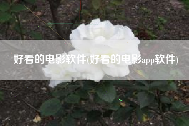 好看的电影软件(好看的电影app软件)