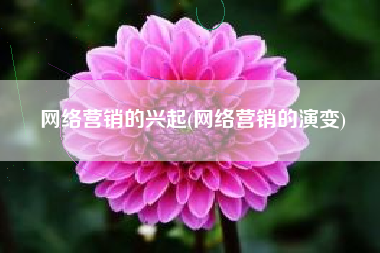 网络营销的兴起(网络营销的演变)