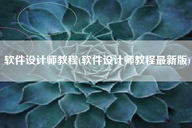 软件设计师教程(软件设计师教程最新版)