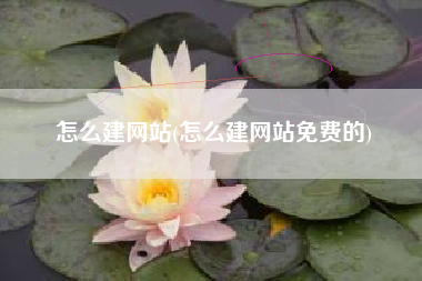 怎么建网站(怎么建网站免费的)