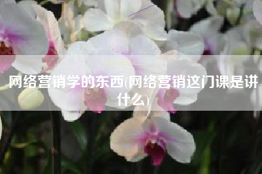 网络营销学的东西(网络营销这门课是讲什么)
