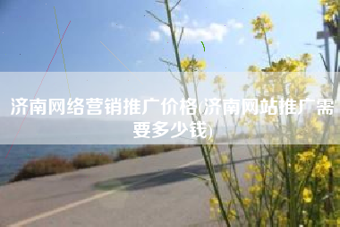 济南网络营销推广价格(济南网站推广需要多少钱)