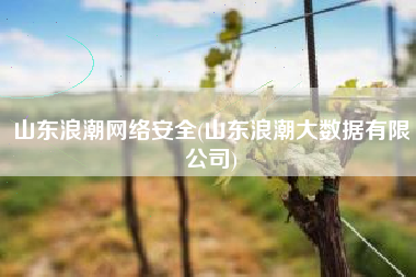 山东浪潮网络安全(山东浪潮大数据有限公司)