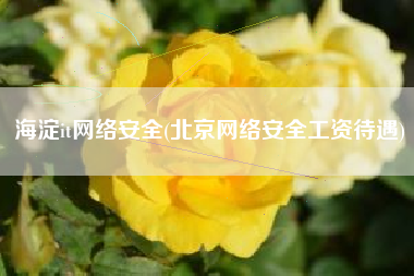 海淀it网络安全(北京网络安全工资待遇)