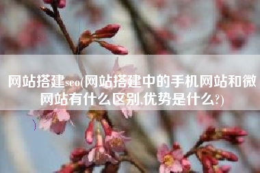 网站搭建seo(网站搭建中的手机网站和微网站有什么区别,优势是什么?)