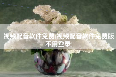 视频配音软件免费(视频配音软件免费版不用登录)