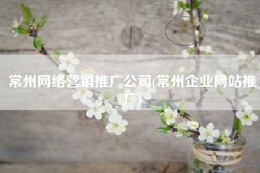 常州网络营销推广公司(常州企业网站推广)