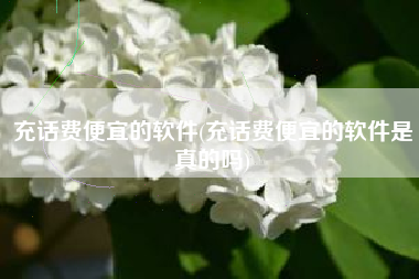 充话费便宜的软件(充话费便宜的软件是真的吗)