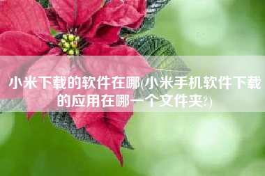 小米下载的软件在哪(小米手机软件下载的应用在哪一个文件夹?)