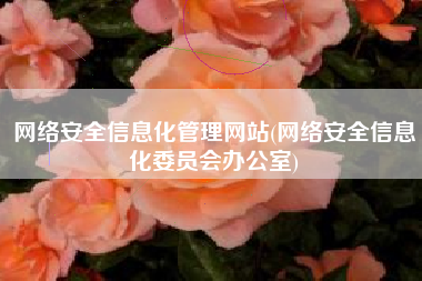 网络安全信息化管理网站(网络安全信息化委员会办公室)