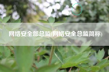 网络安全部总监(网络安全总监简称)