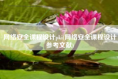 网络安全课程设计pki(网络安全课程设计参考文献)