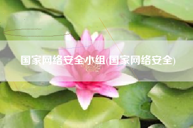 国家网络安全小组(国家网络安全)