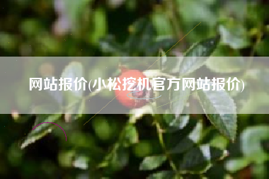 网站报价(小松挖机官方网站报价)