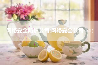 网络安全防护公司(网络安全公司2021)