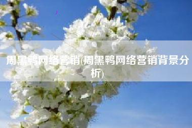 周黑鸭网络营销(周黑鸭网络营销背景分析)