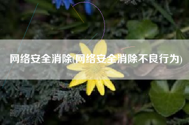 网络安全消除(网络安全消除不良行为)