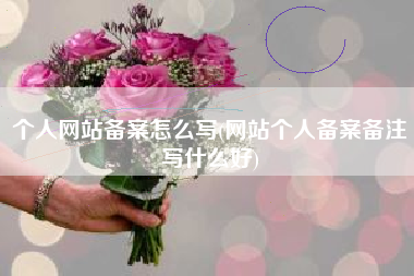 个人网站备案怎么写(网站个人备案备注写什么好)