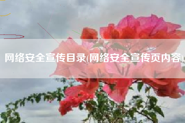 网络安全宣传目录(网络安全宣传页内容)