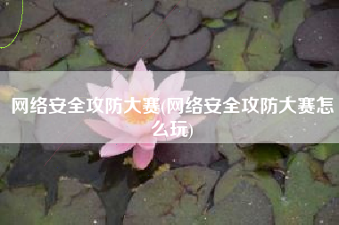 网络安全攻防大赛(网络安全攻防大赛怎么玩)
