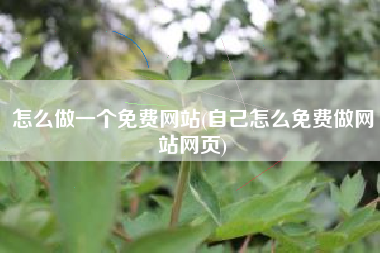 怎么做一个免费网站(自己怎么免费做网站网页)