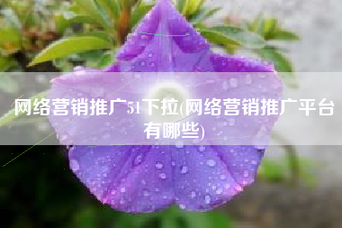 网络营销推广51下拉(网络营销推广平台有哪些)