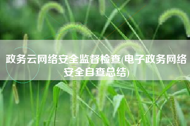 政务云网络安全监督检查(电子政务网络安全自查总结)