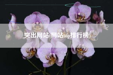突出网站(网站top排行榜)