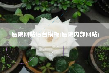 医院网站后台模板(医院内部网站)