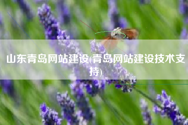 山东青岛网站建设(青岛网站建设技术支持)