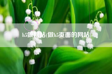 h5做网站(做h5页面的网站)